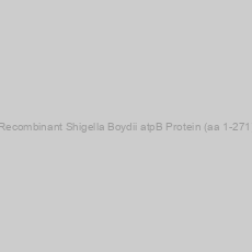 Image of Recombinant Shigella Boydii atpB Protein (aa 1-271)